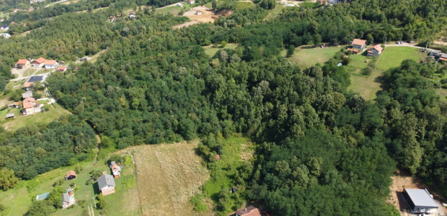 Zemljište sa šumom 8058 m2 – Česma