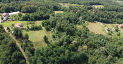 Zemljište sa šumom 8058 m2 – Česma