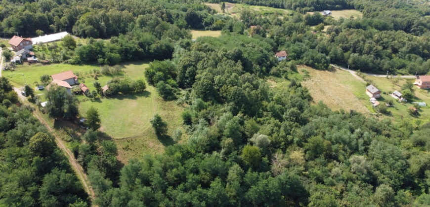 Zemljište sa šumom 8058 m2 – Česma