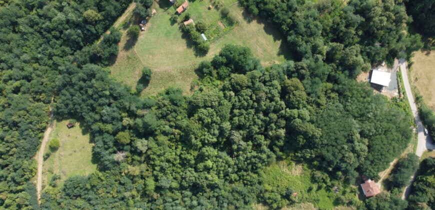 Zemljište sa šumom 8058 m2 – Česma