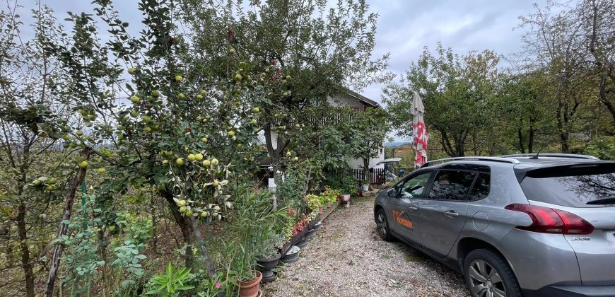 Kuća 130 m2 i placa 2496 m2 – Krčmarice