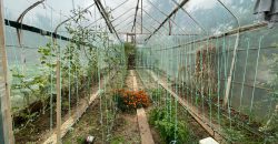 Kuća 130 m2 i placa 2496 m2 – Krčmarice