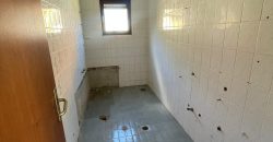 Kuća 250 m2 i zemljišta 2864 m2 – Šargovac