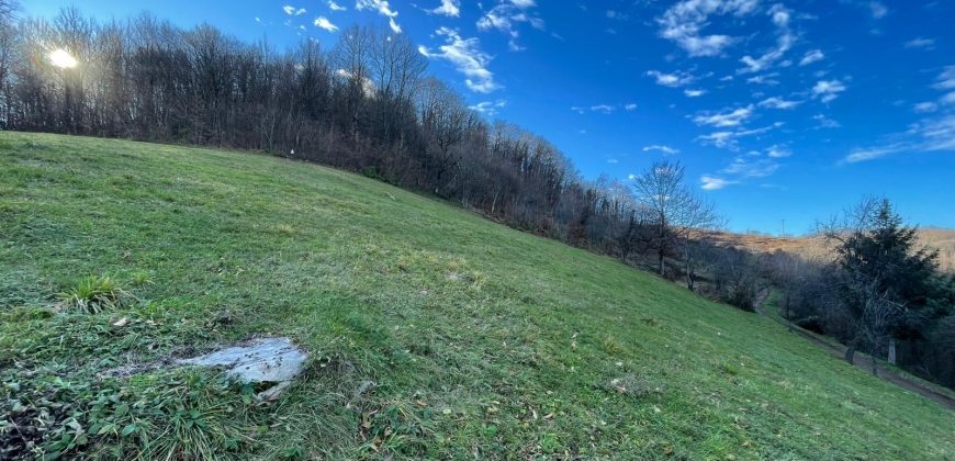 Zemljište 3999 m2 – Ponir