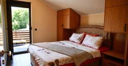 Exkluzivna kuća sa bazenom – Slatina