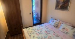 Exkluzivna kuća sa bazenom – Slatina