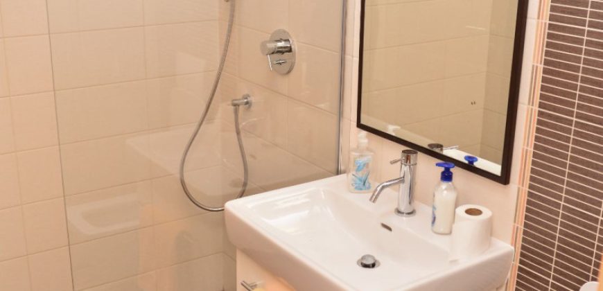 Exkluzivna kuća sa bazenom – Slatina