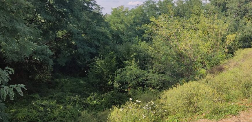 Zemljište 2150 m2 – Petrićevac