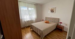 Konforan trosoban stan 120 m2 – Motike