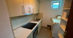 Stambeni objekat 168m2 i zemljišta 3365m2 – Romanovci