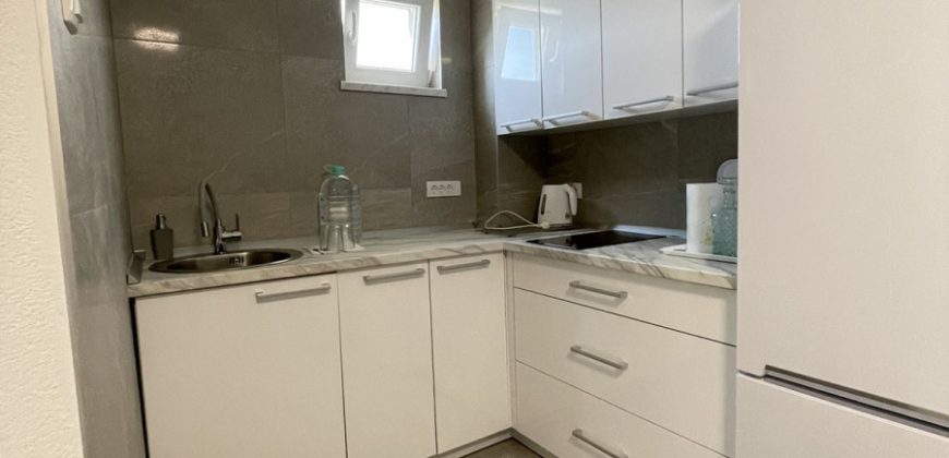 Vikend kuća 80 m2 i zemljišta 2738 m2 – Bistrica