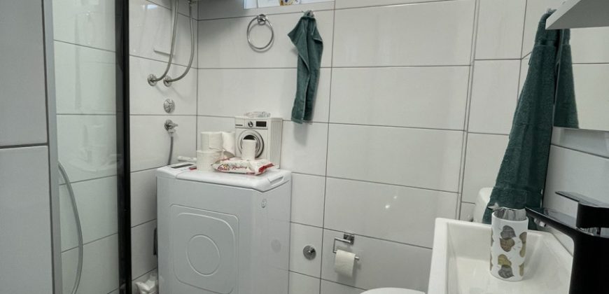 Vikend kuća 80 m2 i zemljišta 2738 m2 – Bistrica