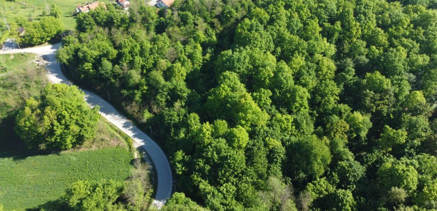 Zemljište sa šumom 3696 m2 – Čokorska polja