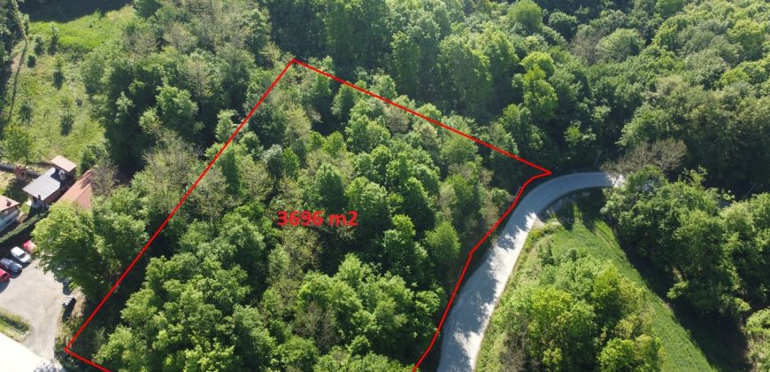 Zemljište sa šumom 3696 m2 – Čokorska polja
