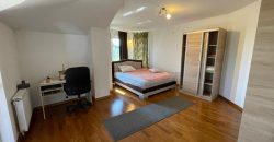 Stambeni objekat 207 m2 – Petoševci
