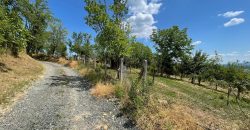 Zemljište od 1000m2 do 3000m2 – Jošavka