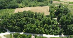 Zemljište sa šumom 3550 m2 – Gornja Česma