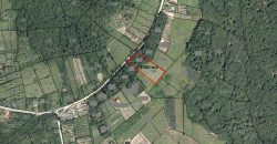 Zemljište sa šumom 3550 m2 – Gornja Česma