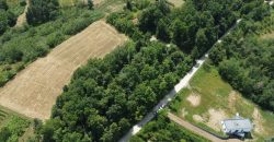 Zemljište sa šumom 3550 m2 – Gornja Česma