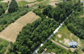 Zemljište sa šumom 3550 m2 – Gornja Česma
