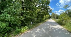 Zemljište sa šumom 3550 m2 – Gornja Česma