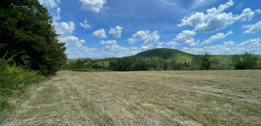 Zemljište sa šumom 3550 m2 – Gornja Česma