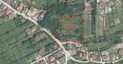 Zemljište 5495 m2 – Česma