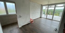 Exluzivna kuća sa bazenom – Slatina