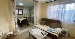 Stambeni objekat 150m2 i placa 2353m2 – Trn