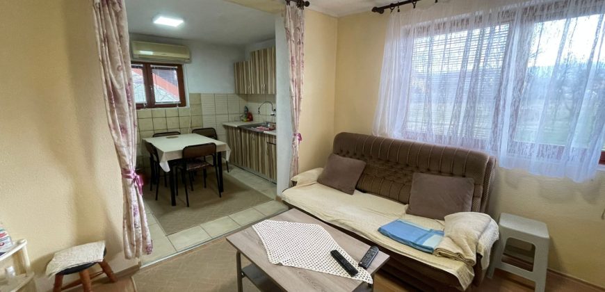 Stambeni objekat 150m2 i placa 2353m2 – Trn