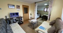 Stambeni objekat 150m2 i placa 2353m2 – Trn