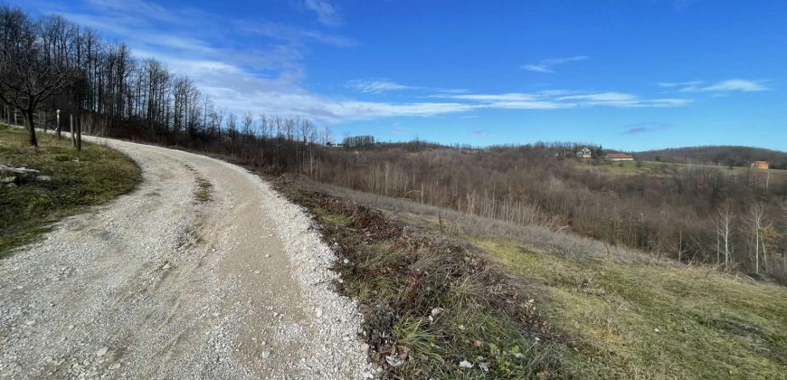 Zemljište 5251 m2 – Gornje Motike