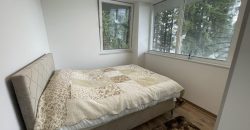 Dvosoban stan 42 m2 – Ada