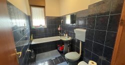 Stambeni objekat 256m2 i zemljišta 7289m2  – Dragočaj