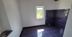 Kuća sa pomoćnim objektima – Veliko Blaško