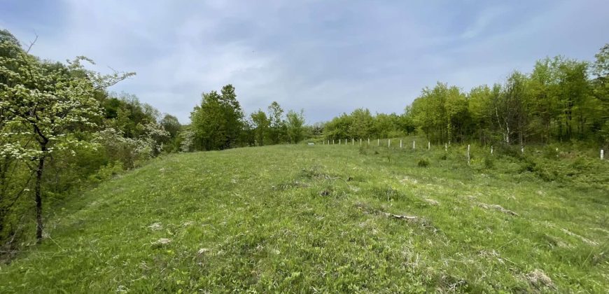 Zemljište 5794 m2 – Drakulić