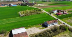 Poslovni kompleks – Romanovci