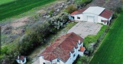Poslovni kompleks – Romanovci