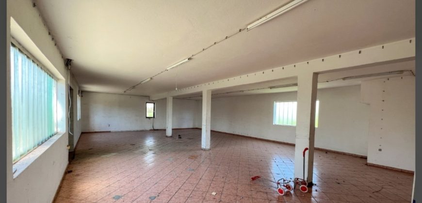 Poslovni kompleks – Romanovci