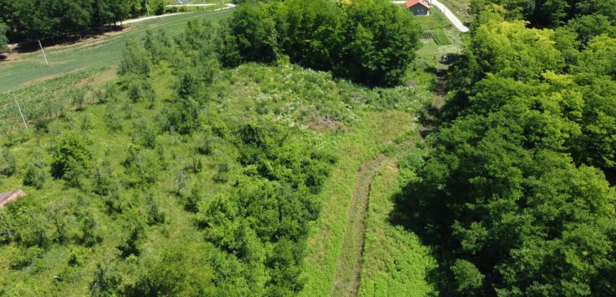 Prodaju se četiri placa po 1000m2 – Šargovac
