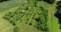 Prodaju se četiri placa po 1000m2 – Šargovac