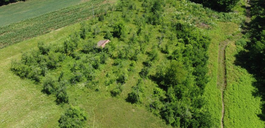 Prodaju se četiri placa po 1000m2 – Šargovac