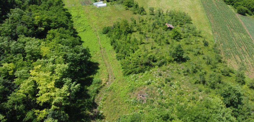 Prodaju se četiri placa po 1000m2 – Šargovac