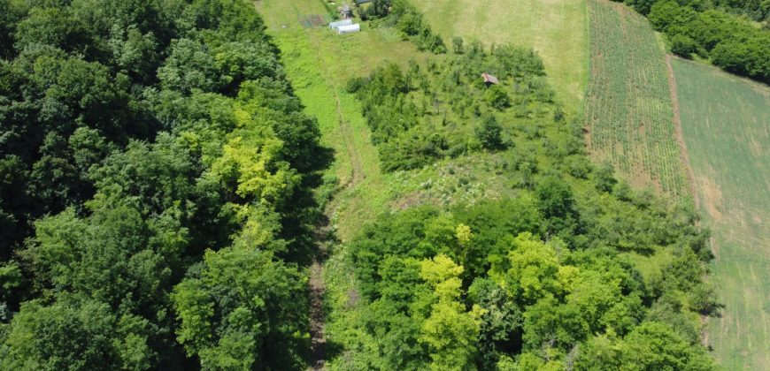 Prodaju se četiri placa po 1000m2 – Šargovac