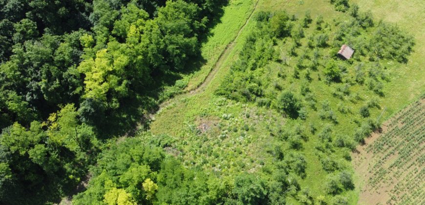 Prodaju se četiri placa po 1000m2 – Šargovac