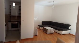 Dvosoban stan 50 m2 – Lauš