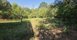 Vikend kuća 75 m2 i placa 1500 m2 – Aleksići