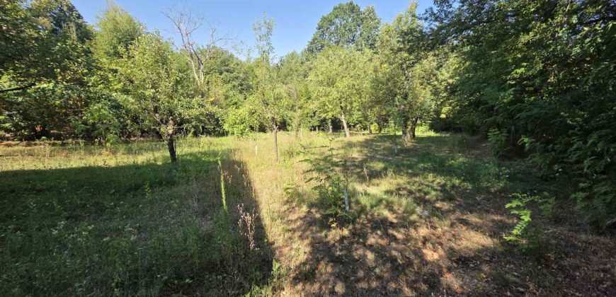 Vikend kuća 75 m2 i placa 1500 m2 – Aleksići