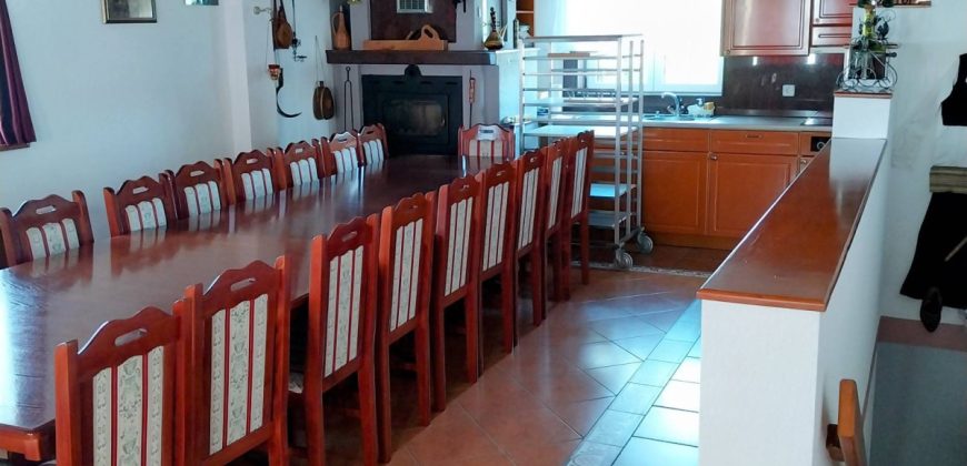 Luksuzno opremljeno imanje – Žiče – Kraljevo