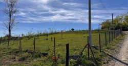 Zemljište 642 m2 – Motike